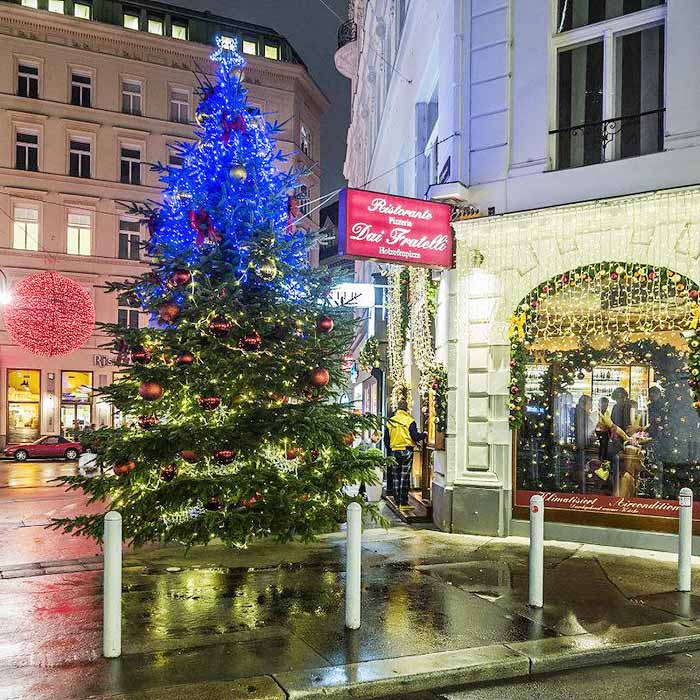 圣诞节圆弧门装饰