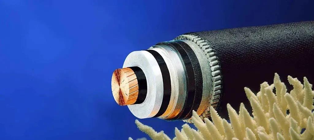 全球海底光缆分布,中国接入点介绍-新宝GG-科技注册场景,让平台更有趣
