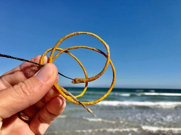 墨西哥湾的海底拥有一种有生命的 墨西哥湾的海底拥有一种有生命的