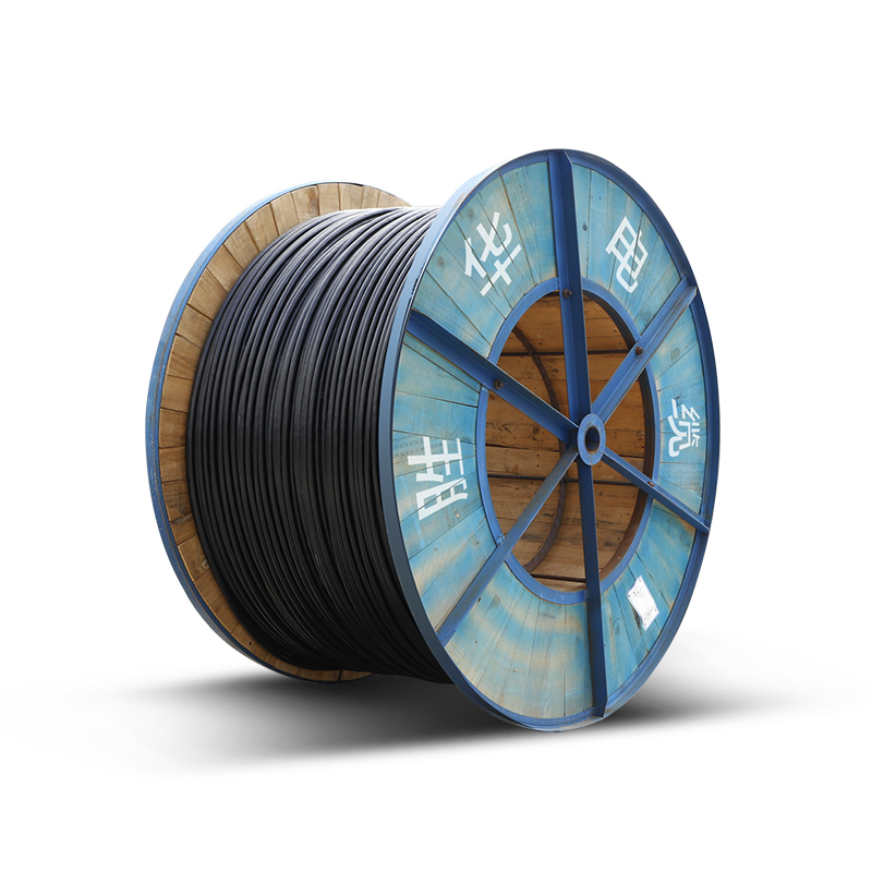 胜华蓝颜gtv
YJLY22-0.6/1KV铠装地埋铝芯蓝颜gtv蓝颜gtv
线