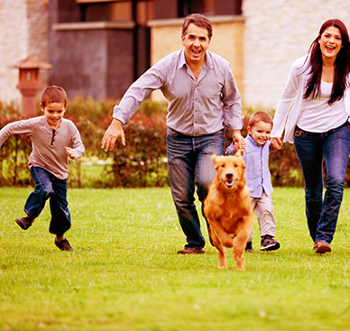 原裝進口 原裝進口