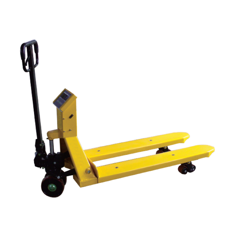 Electronic weighing carrier