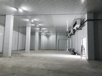 冷鏈物流配送冷庫