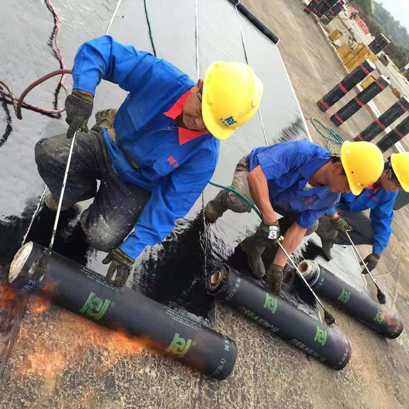 種植屋面耐根穿刺防水卷材（普通）