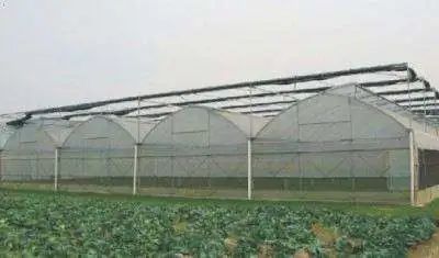 溫室大棚棚內霧氣，一般有以下幾種方法