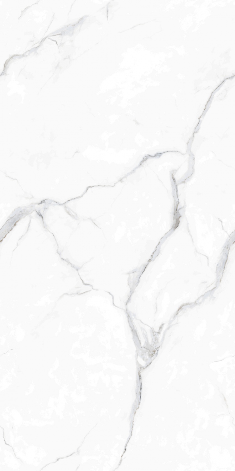 918038喜馬拉雅白