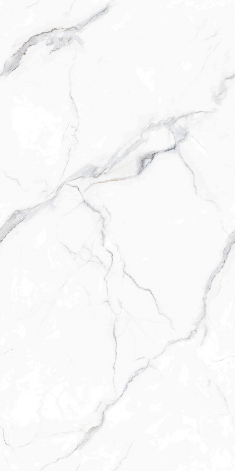 918038喜馬拉雅白