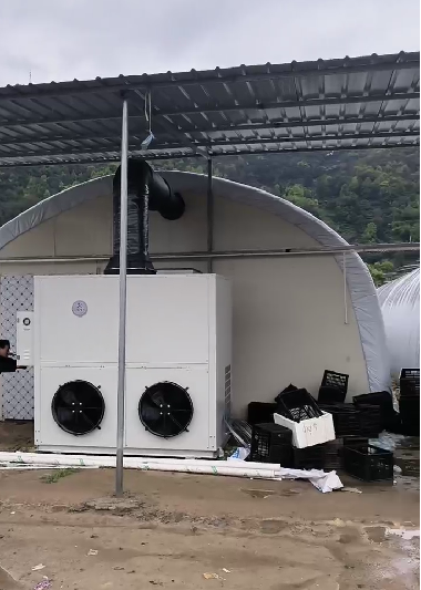 農用智能菌用溫棚案例