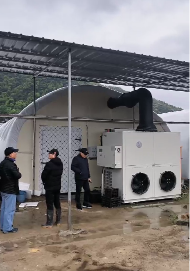 農用智能菌用溫棚案例