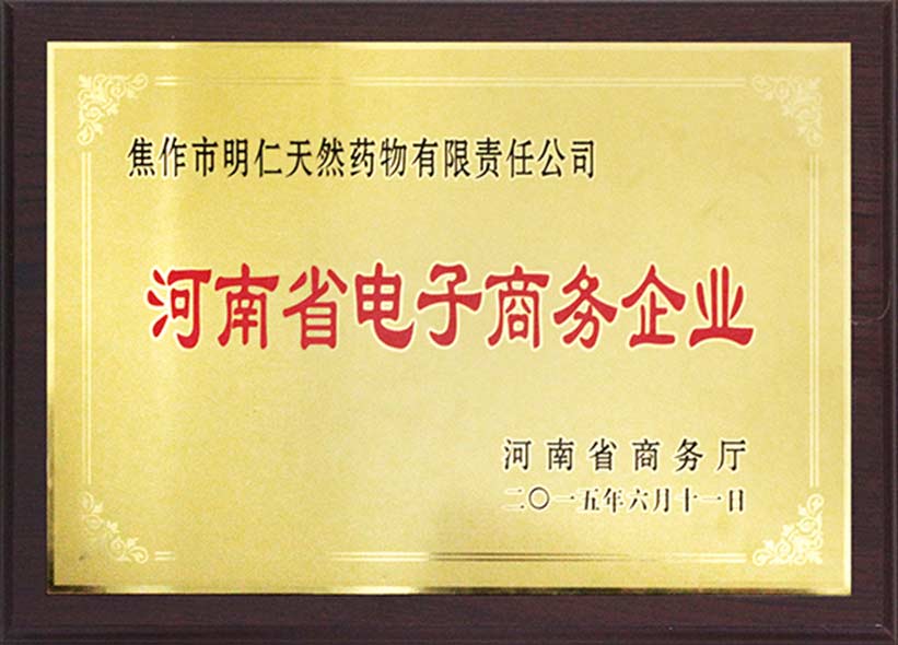 2015河南省電子商務企業