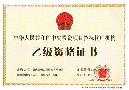 中央投资项目招标代理机构