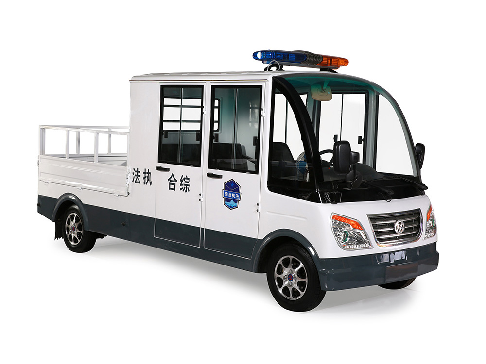 5人座全钣金猛狮货车