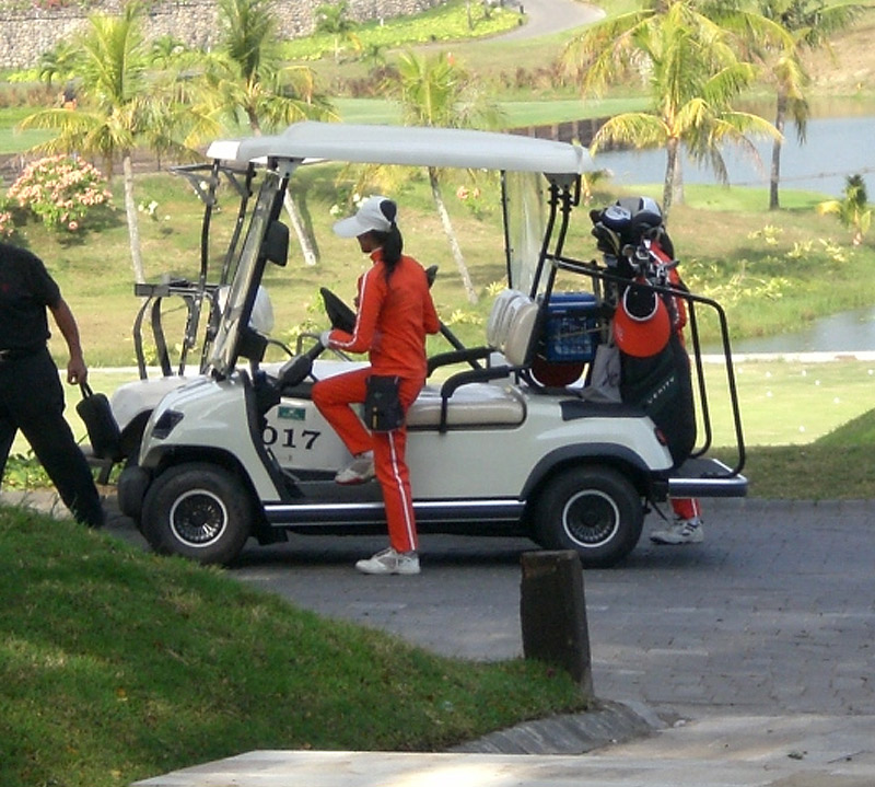 两人座高尔夫球车