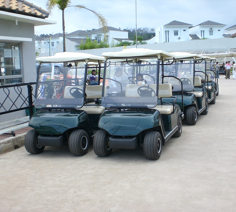 两人座高尔夫球车