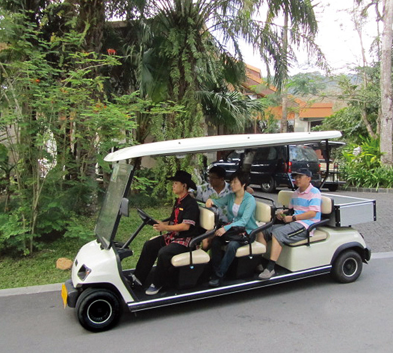 八人座高尔夫观光车