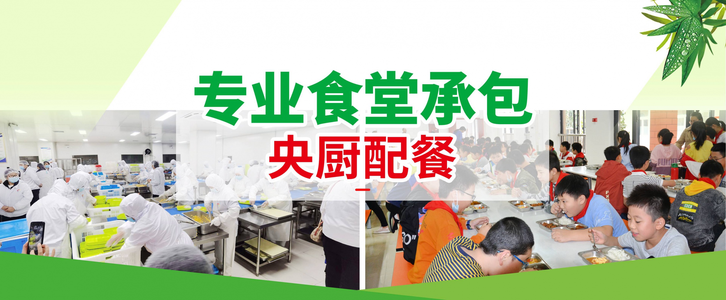 宝运莱_官方网站app下载