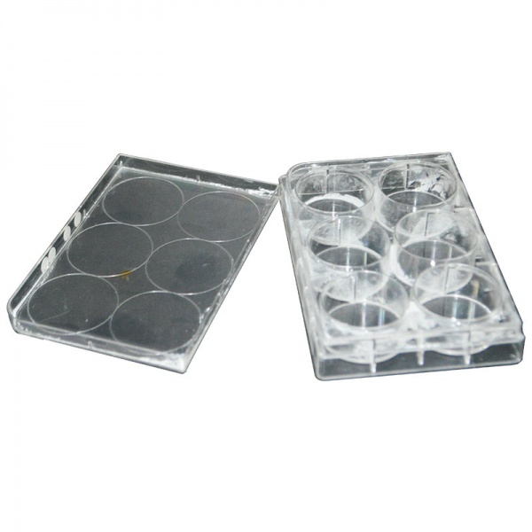 Flip Top Cap Mould
