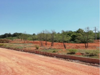 威尼斯87978797(集团)公司官方网站