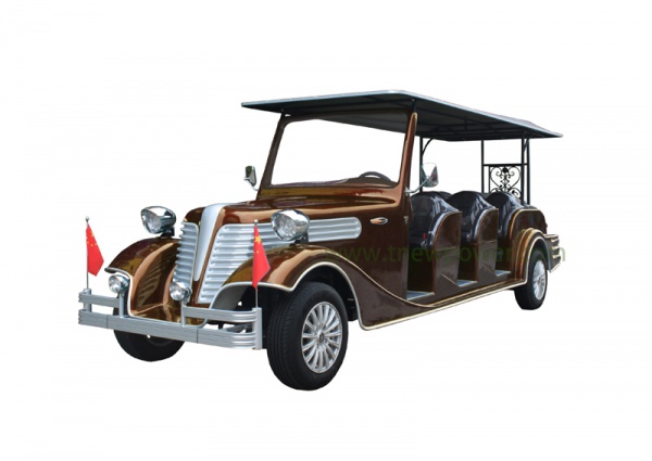 Tnew Power Electric Vehicle