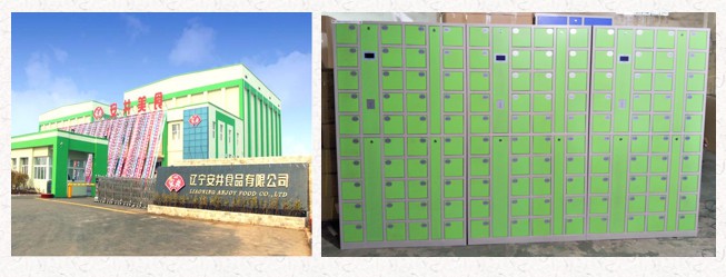 辽宁安井食品有限公司-员工手机存放柜