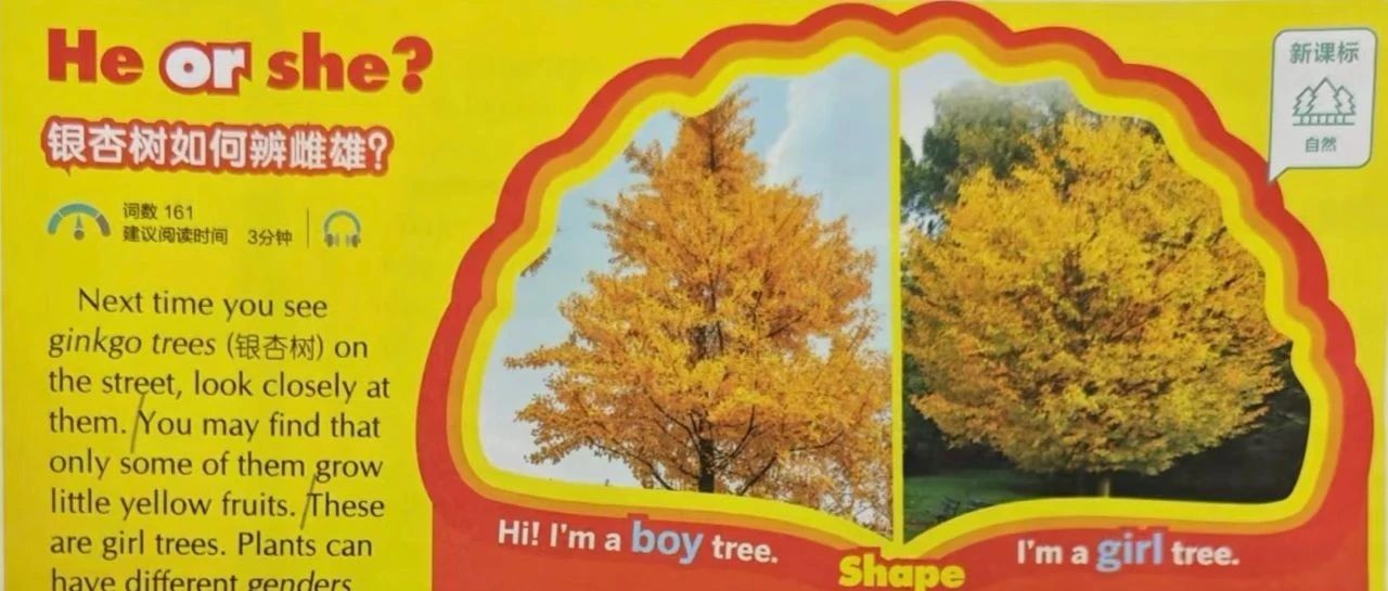 TGFLS双语播报丨He or she? 银杏树如何辨雌雄？
