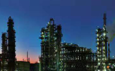 浙江石油化工有限公司大型炼化一体化项目