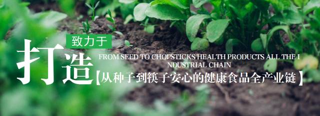 太阳成集团tyc122cc入口新团餐饭堂承包-铁路职业技术学院饭堂开业