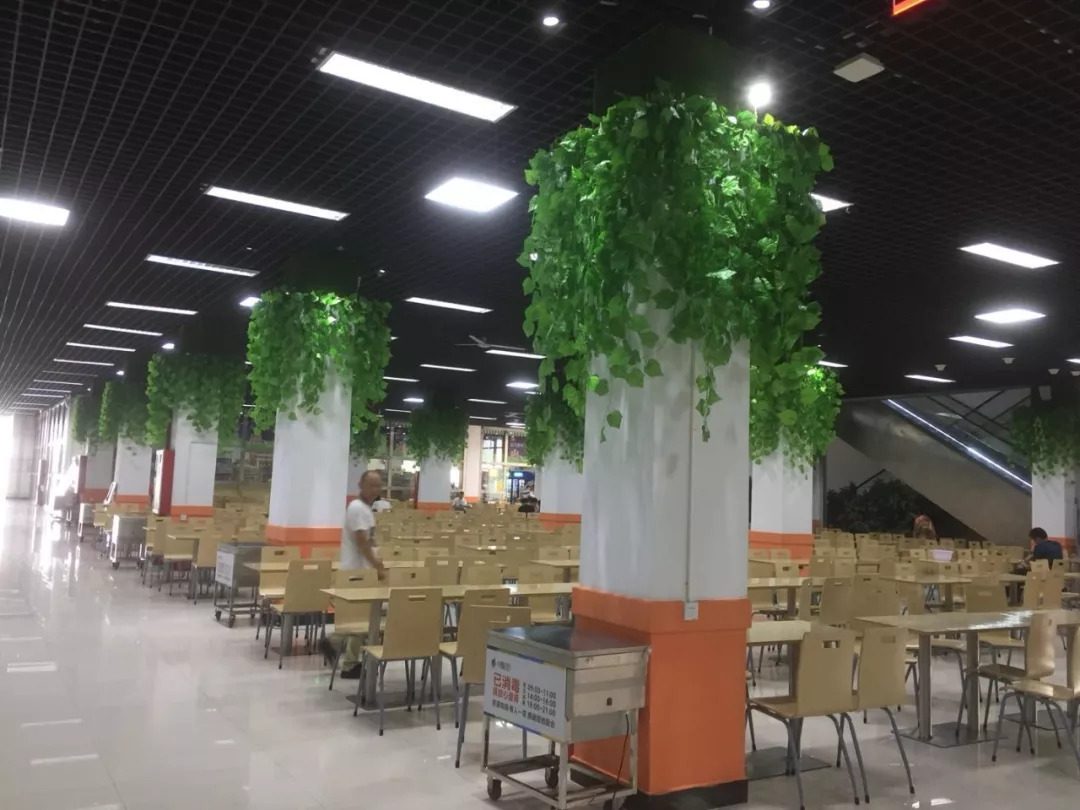 28Ųͷóа-·ְҵѧԺÿҵ