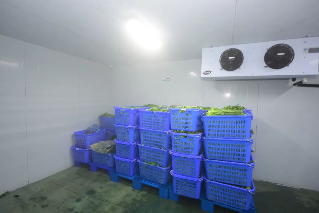 央厨系列丨入门小白篇:全方位了解中央厨房操作全流程!