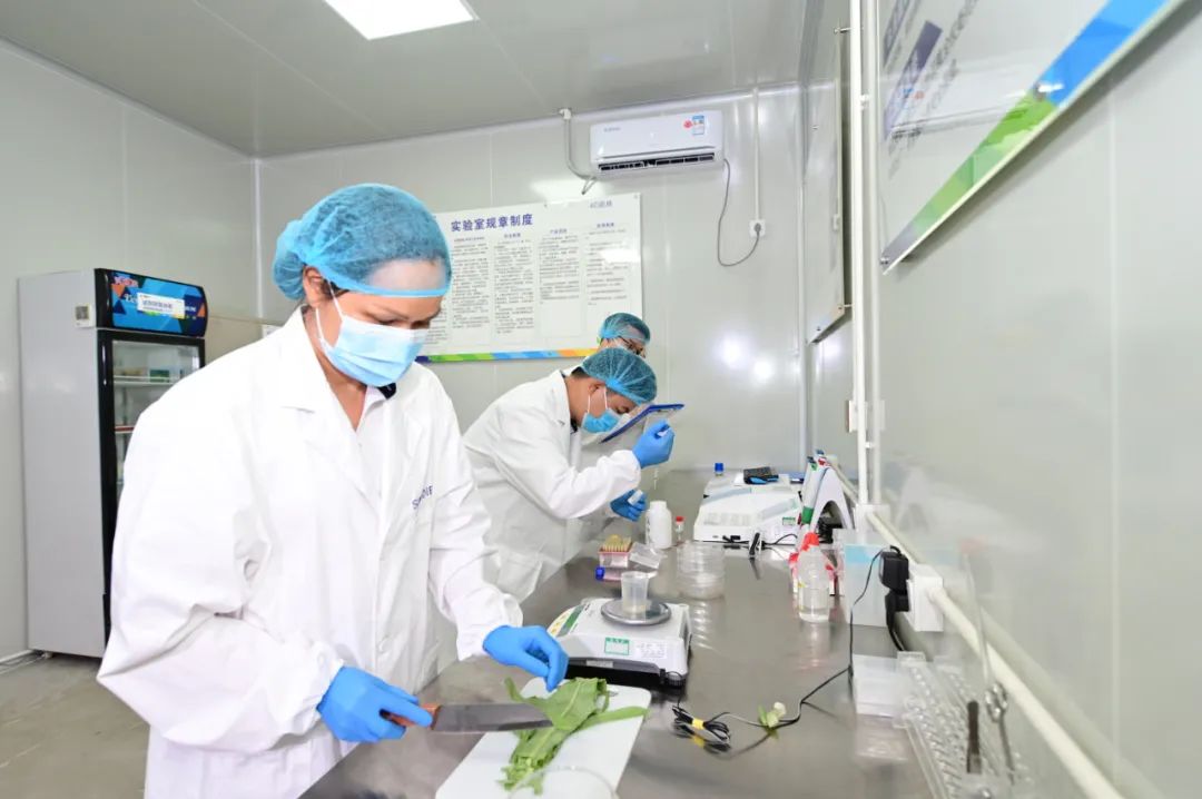 央厨系列丨入门小白篇:全方位了解中央厨房操作全流程!