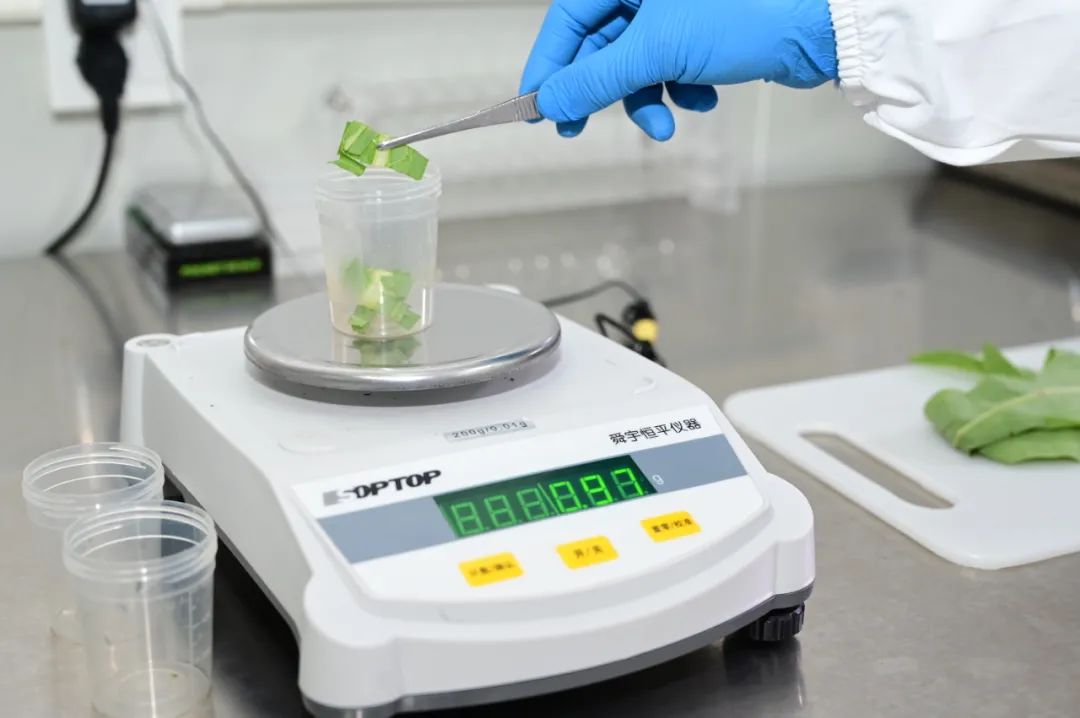 央厨系列丨入门小白篇:全方位了解中央厨房操作全流程!