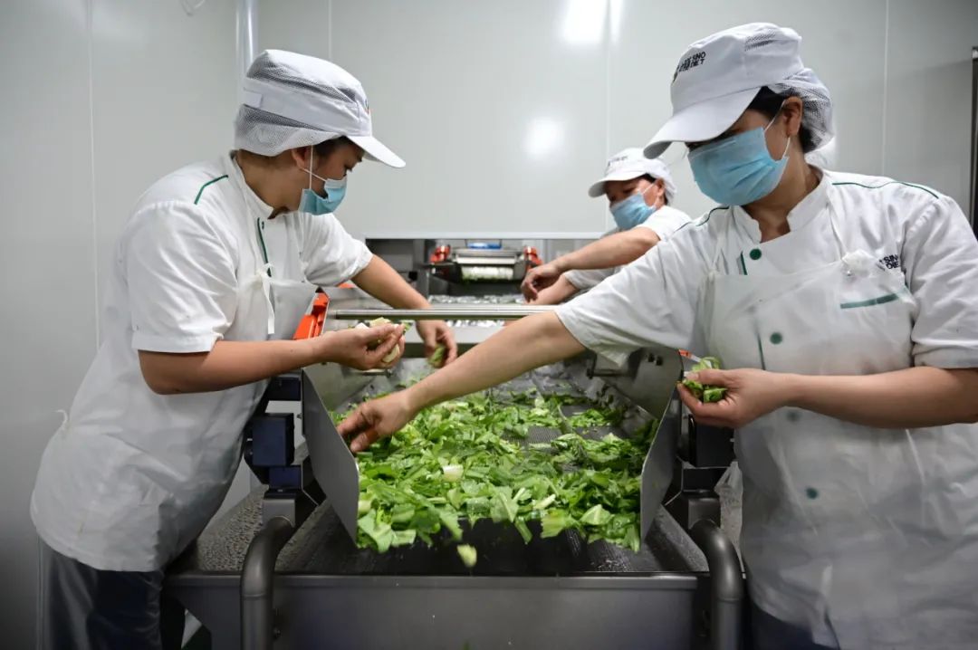 央厨系列丨入门小白篇:全方位了解中央厨房操作全流程!