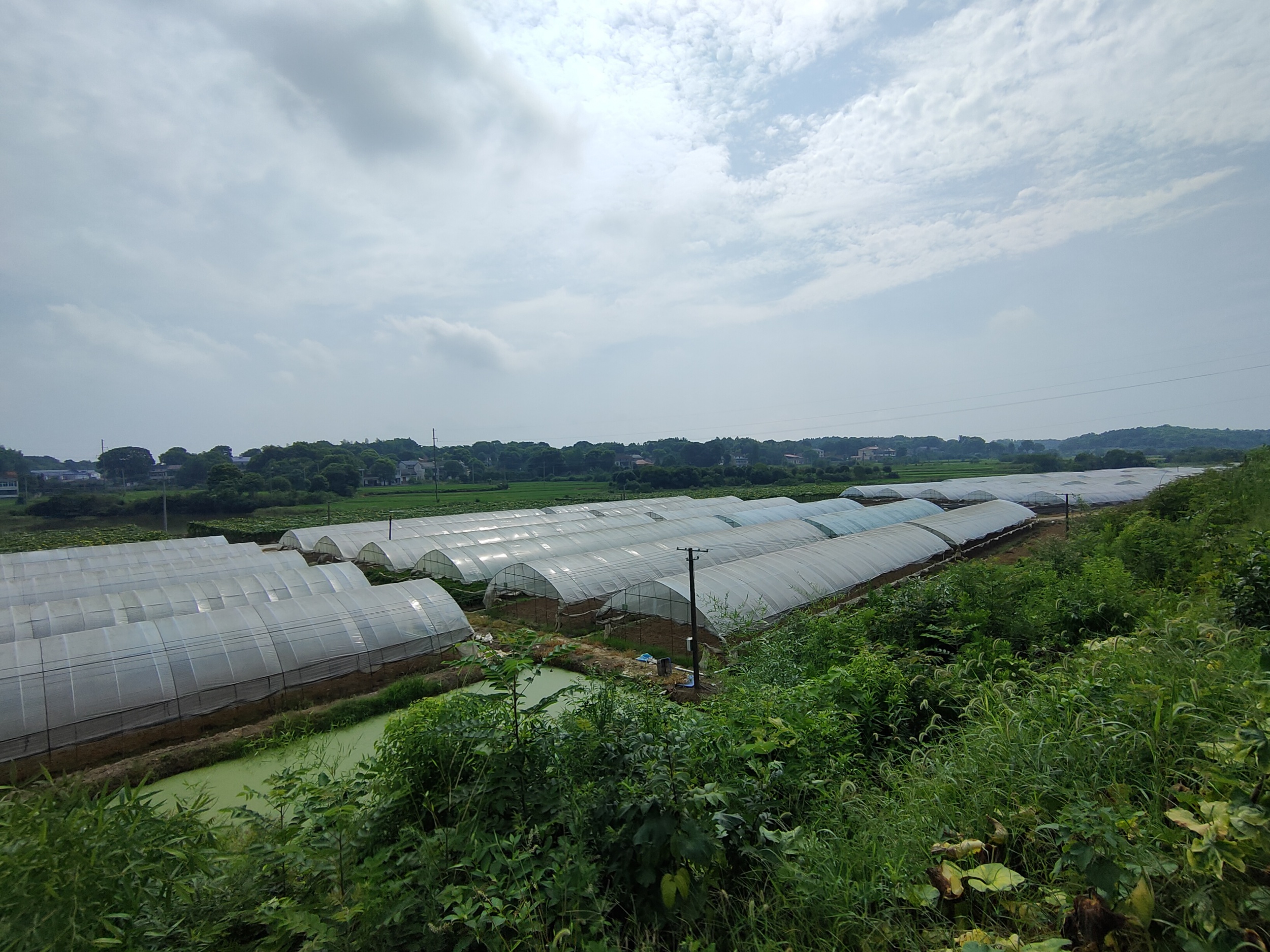 多多28集团2021第30周团餐新闻-多多28国际团餐产业集团