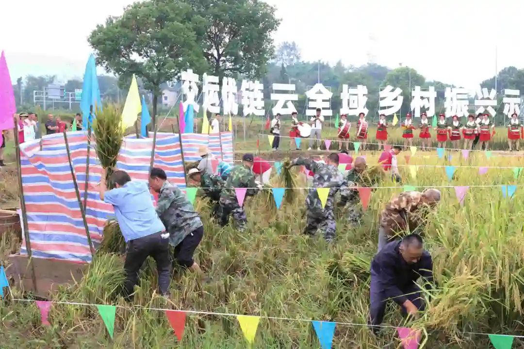 多多28交运优链云团餐产业园全域乡村振兴产业融合示范项目