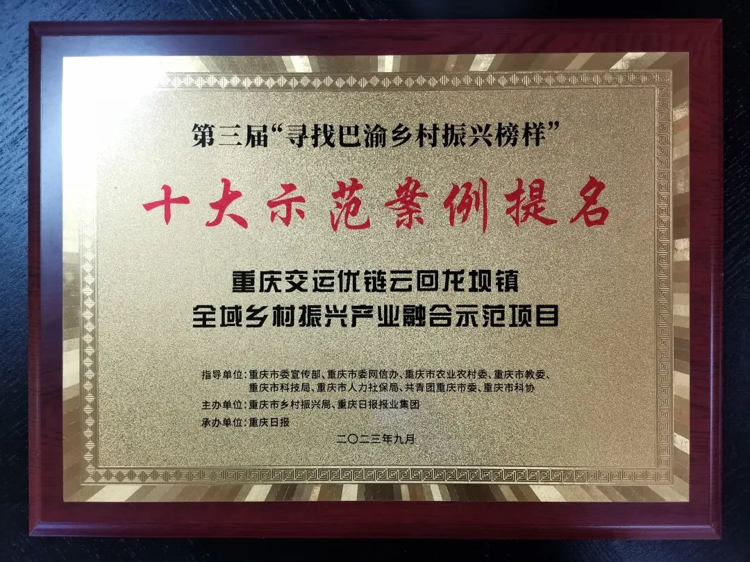 多多28重庆交运优链云“回龙坝镇全域乡村振兴产业融合示范项目”荣获十大示范案例提名奖