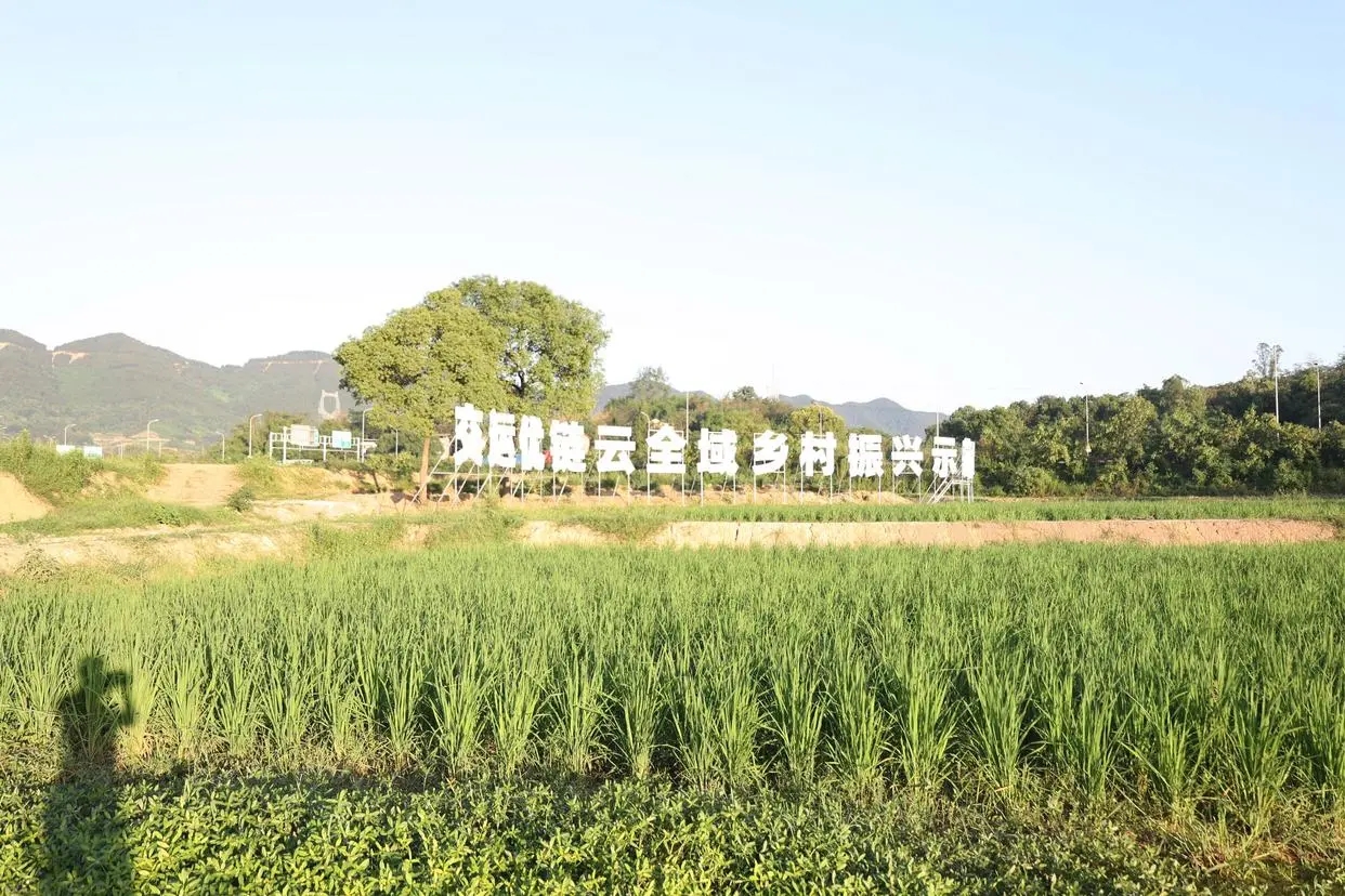 多多28重庆交运优链云团餐产业园