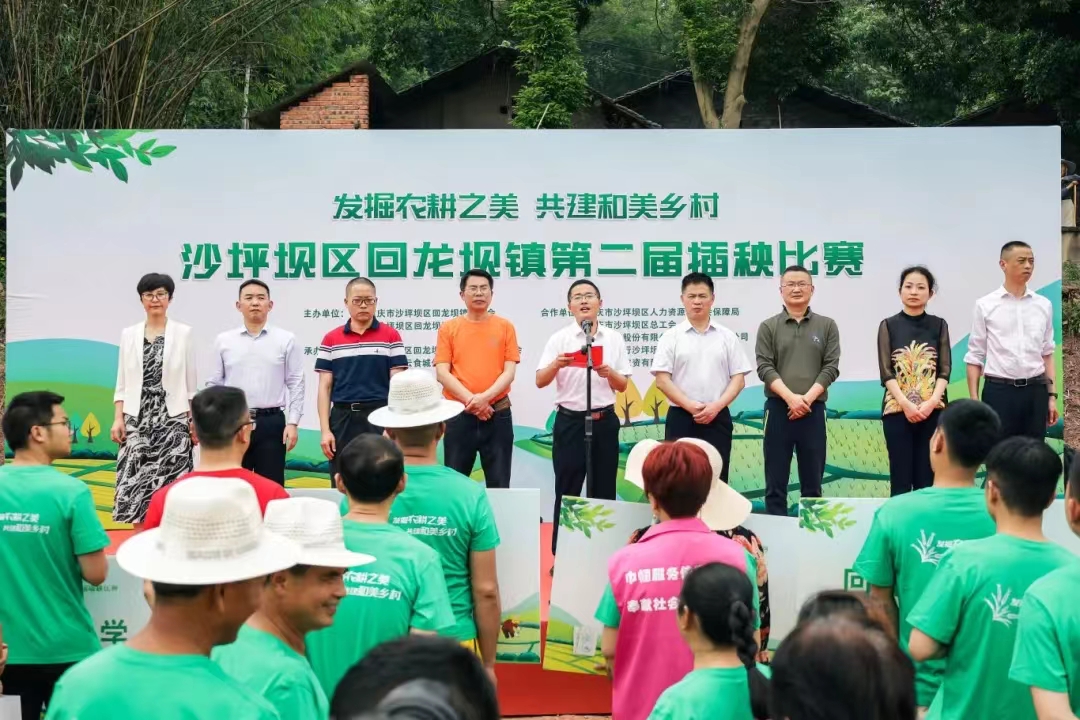 多多28团餐产业园助力回龙坝插秧比赛