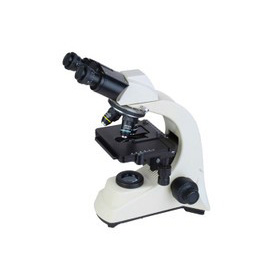 拉斯维加斯网站3499