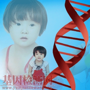 易感人群基因檢測服務