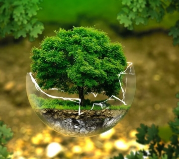 浙江威斯尼斯392.com平台风机技改项目环境影响信息公示