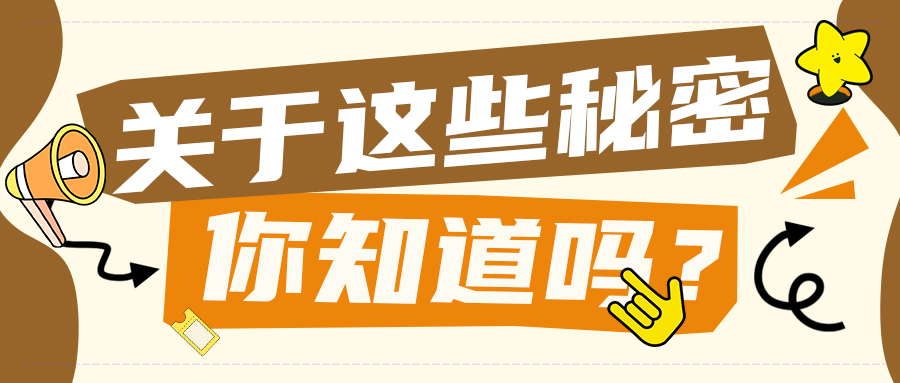 雷军点赞的隐藏福利，背后竟有这...