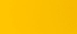 純黃色