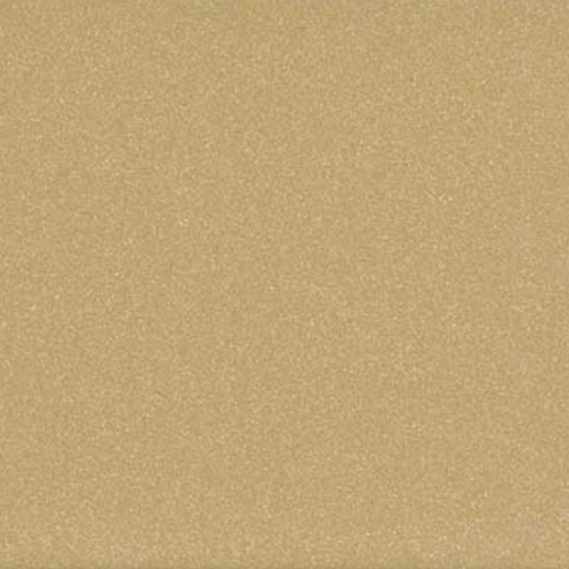 AF-407-香檳（bīn）金