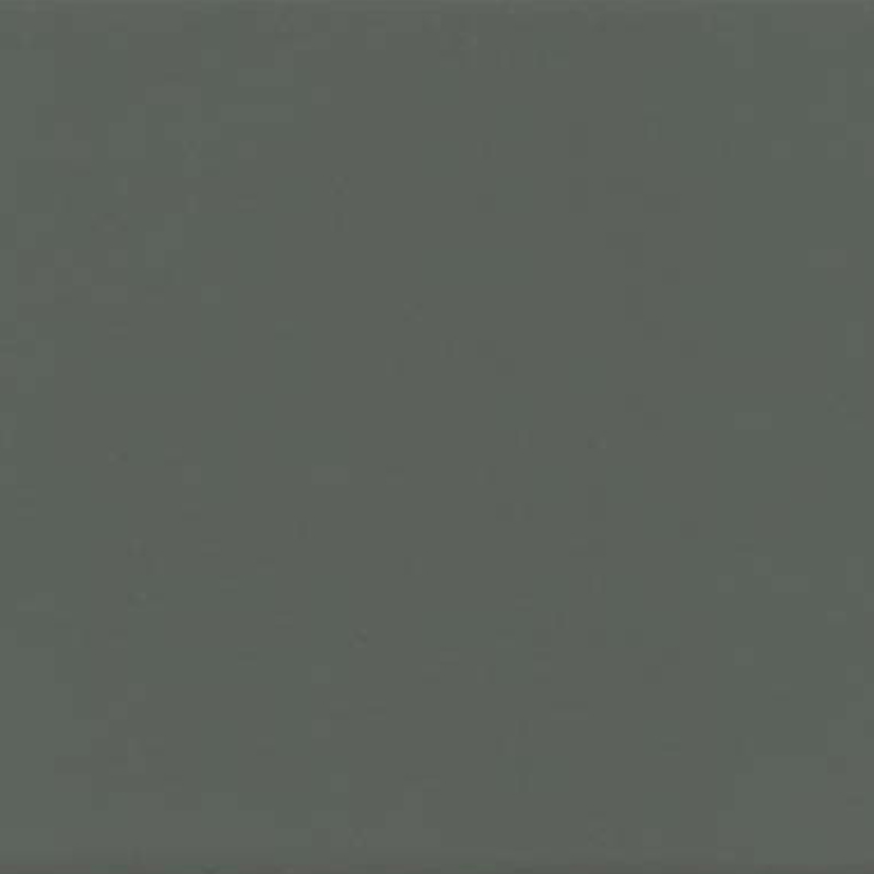 AF-410-鼠（shǔ）灰