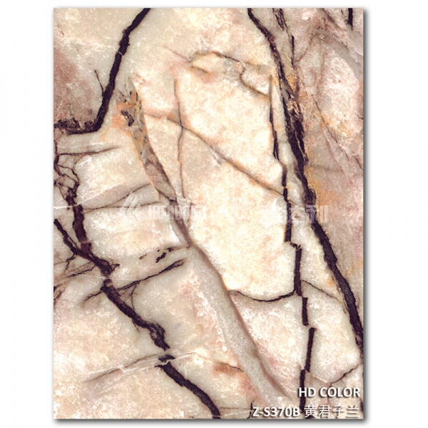 Z-S370B-黃君子蘭