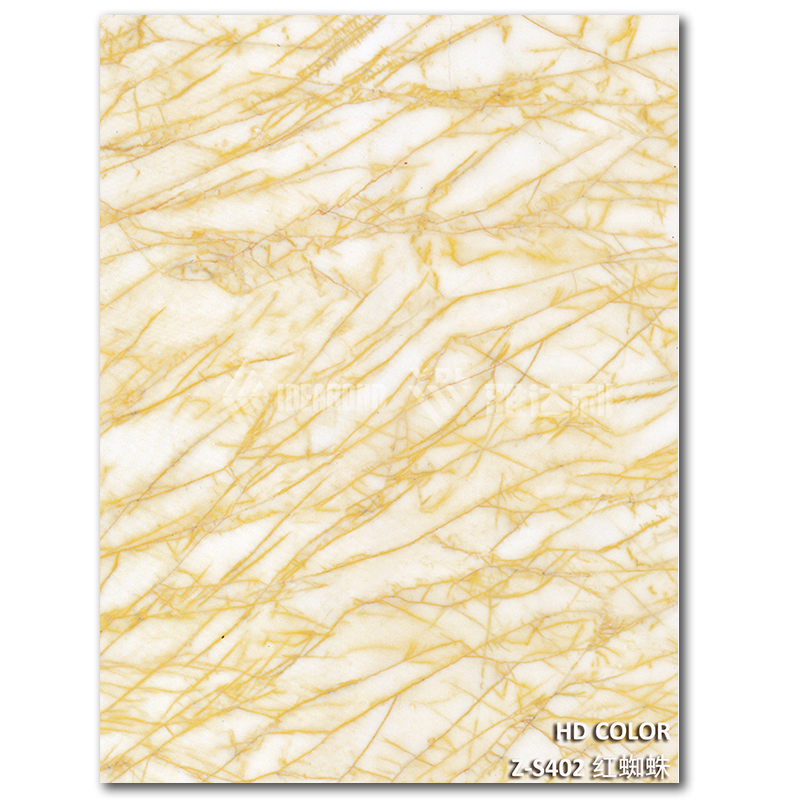 Z-S402-紅蜘（zhī）蛛