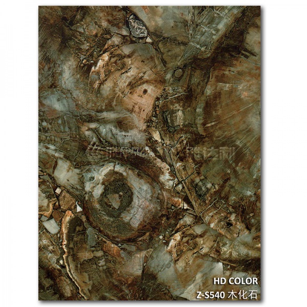 Z-S540-木化石