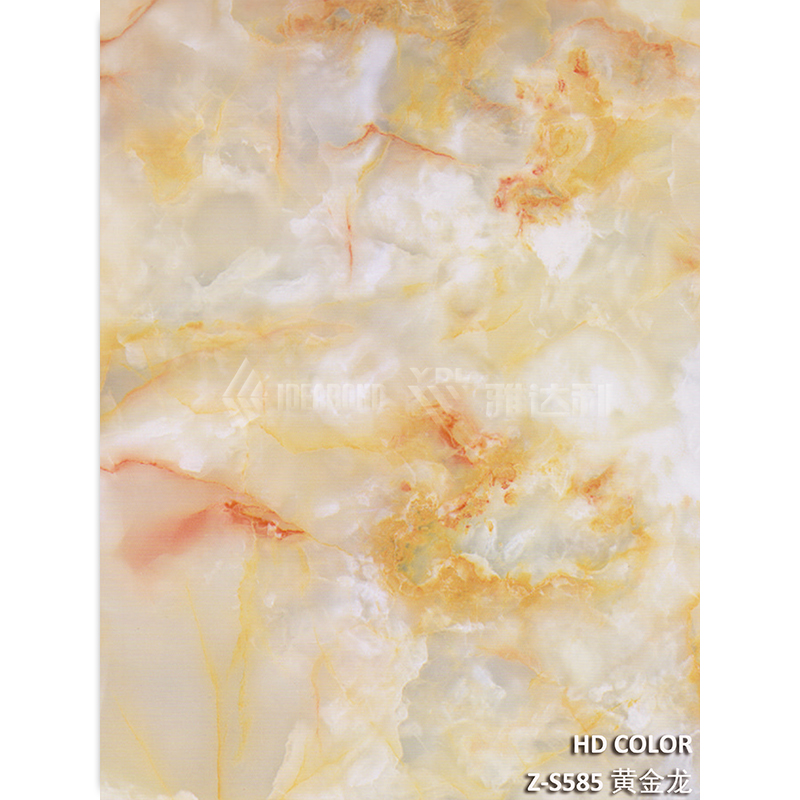 Z-S585-黃（huáng）金龍（lóng）