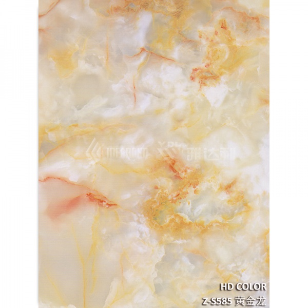Z-S585-黃金（jīn）龍