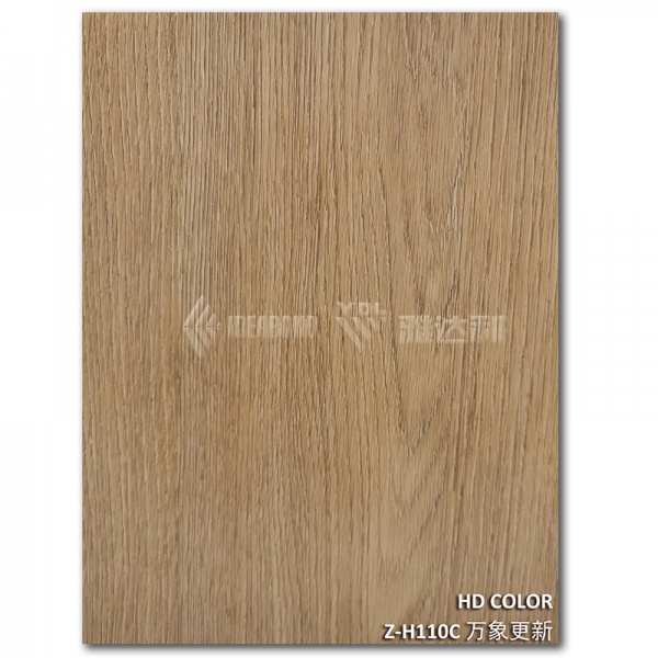 Z-H110C-萬象更新（xīn）